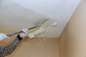 Ceiling Repairs